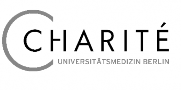 PhD Position: Spatial Memory Consolidation Networks