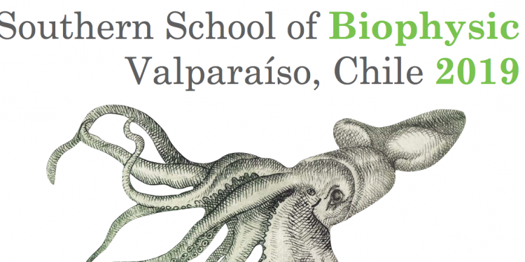 Chile: Southern School of Biophysic