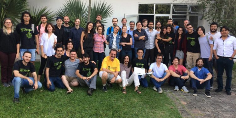 IBRO-LARC Programs 2019 (January – June)