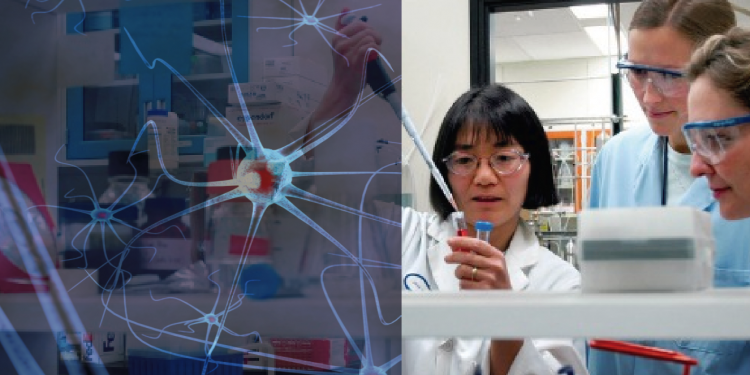 FALAN-Woman in science