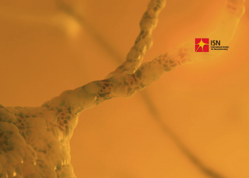 The ISN membership renewal period 2019 is open