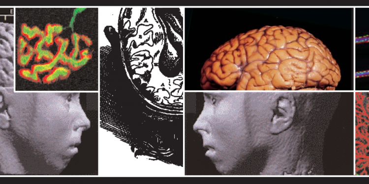 Neuroscience – Science of the Brain: An Introduction for Young Students