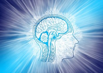 LATBrain propone acelerar el progreso en el entendimiento de los misterios del cerebro