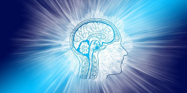 LATBrain propone acelerar el progreso en el entendimiento de los misterios del cerebro