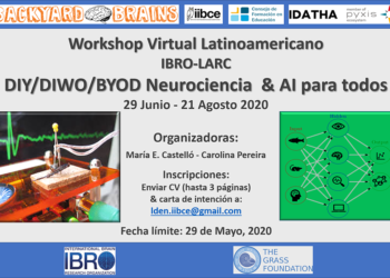 DIY/DIWO/BYOD Neurociencia & AI para todos