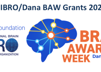 IBRO Global Open grants deadline is approaching!