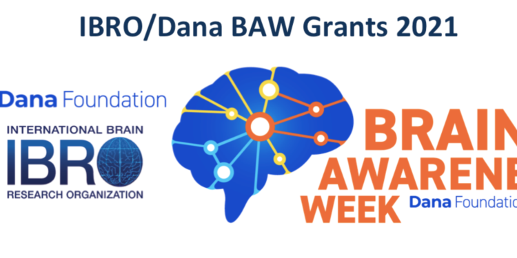 IBRO Global Open grants deadline is approaching!