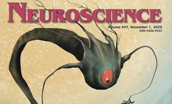 Neuroscience holds its first ever People’s Choice Cover Competition!