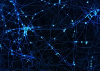 Meetings, Conferences and Anual Congress