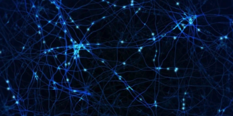 Meetings, Conferences and Anual Congress