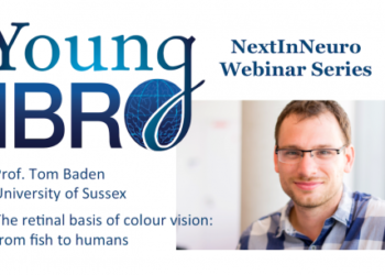 Young IBRO: NextInNeuro webinar series