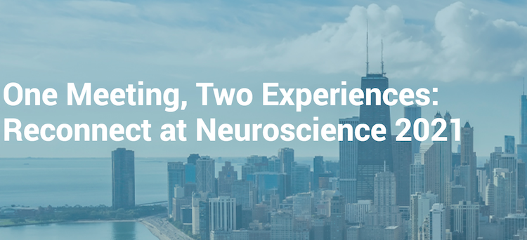 Abstract Slots for International Society Members (ISM)