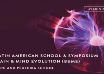 ibro larc brain school