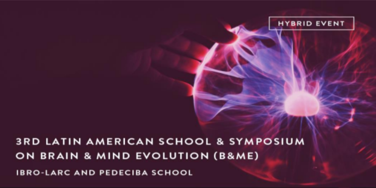 ibro larc brain school