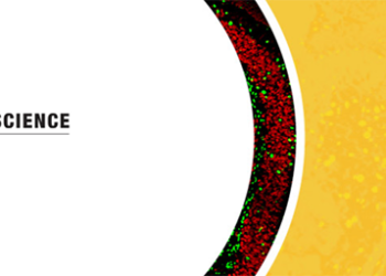 Abstract Slots for Neuroscience meeting 2023 at SfN member rate