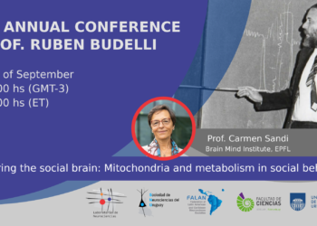 1st Annual Conference Prof. Rubén Budelli