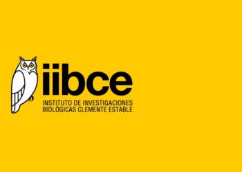 Postdoctoral position – IIBCE