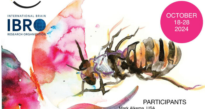 Neurosciences school in Chile “Small Brains, Big Ideas EMBO Global Exchange Practical Course”