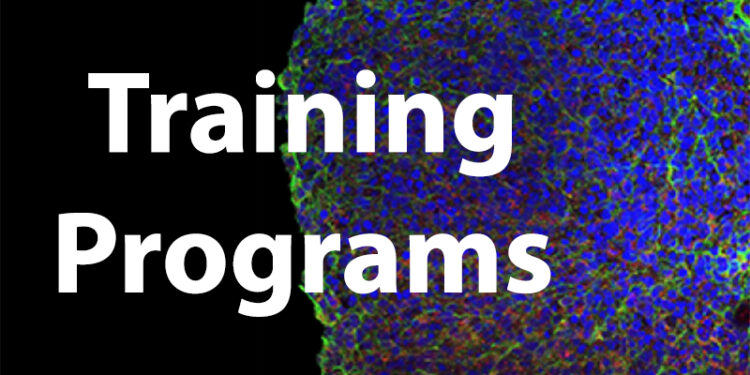 Bioimaging Training & Career Development Programs (LABI)