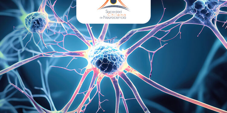 xx reunion anual sociedad chilena de neurociencias - YIS