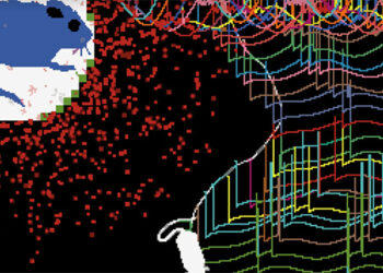 Infant Attachment and Mother-Infant Relationship