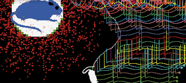 Infant Attachment and Mother-Infant Relationship